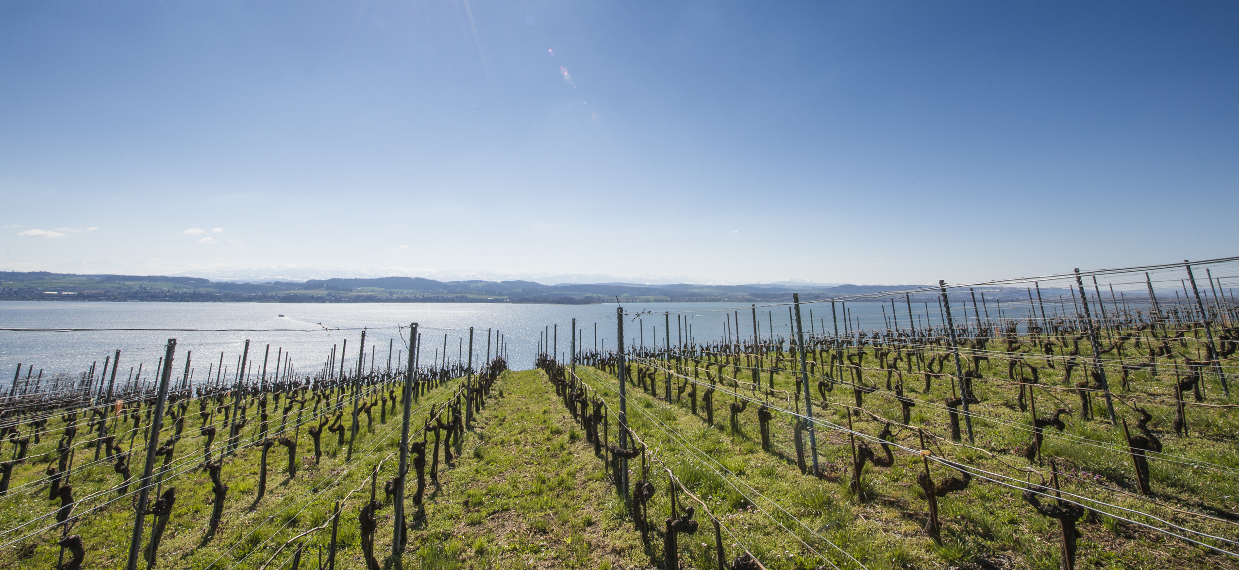 Der Betrieb Le Petit Château